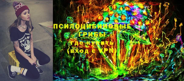 твердый Алексин