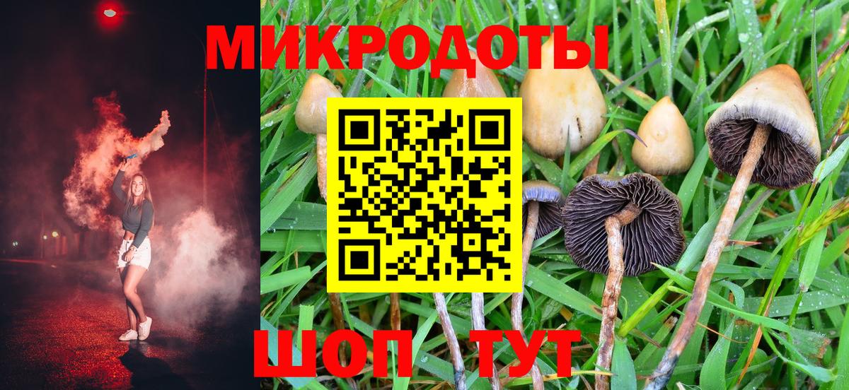 Псилоцибиновые грибы прущие грибы  Вход с VPN  Нурлат  как найти   Галлюциногенные грибы Psilocybine cubensis 