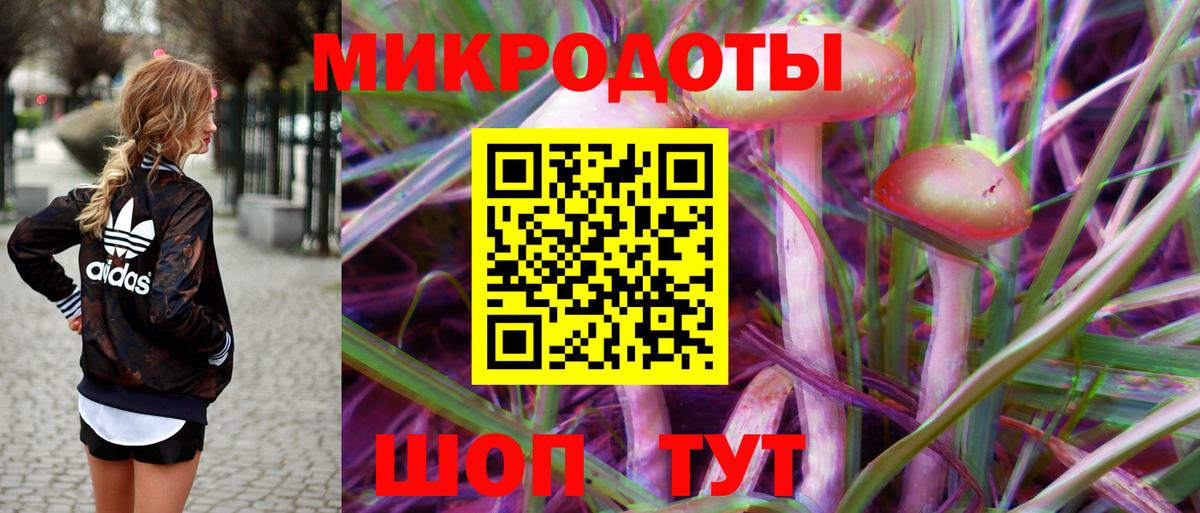Псилоцибиновые грибы Psilocybine cubensis Нурлат